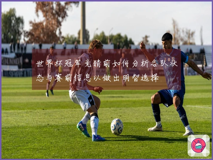 世界杯冠军竞猜前如何分析各队状态与赛前信息以做出明智选择